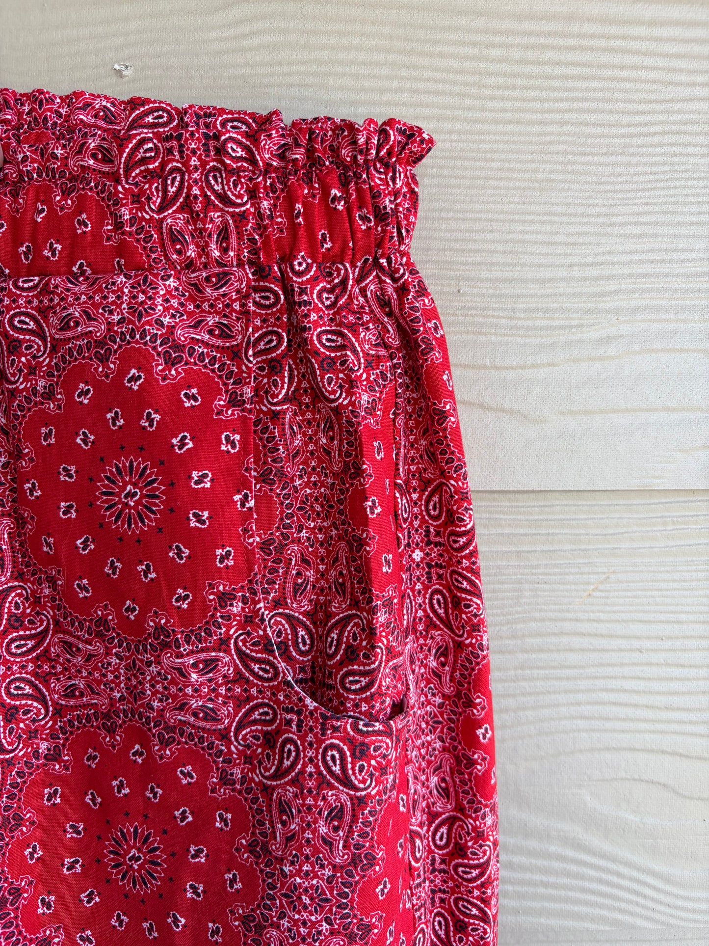 Bandana Print Wide Leg Pants | M